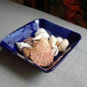 Hand Sculped Square Bowl with Seashells 5in
